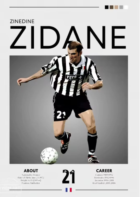 Zinedine Zidane Poster